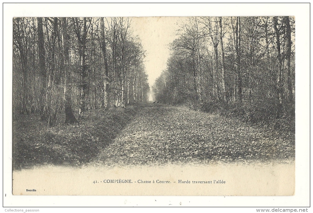 Cp, Sport, Chasse à Cour, Compiègne (60) - Harde Traversant L´allée - Hunting