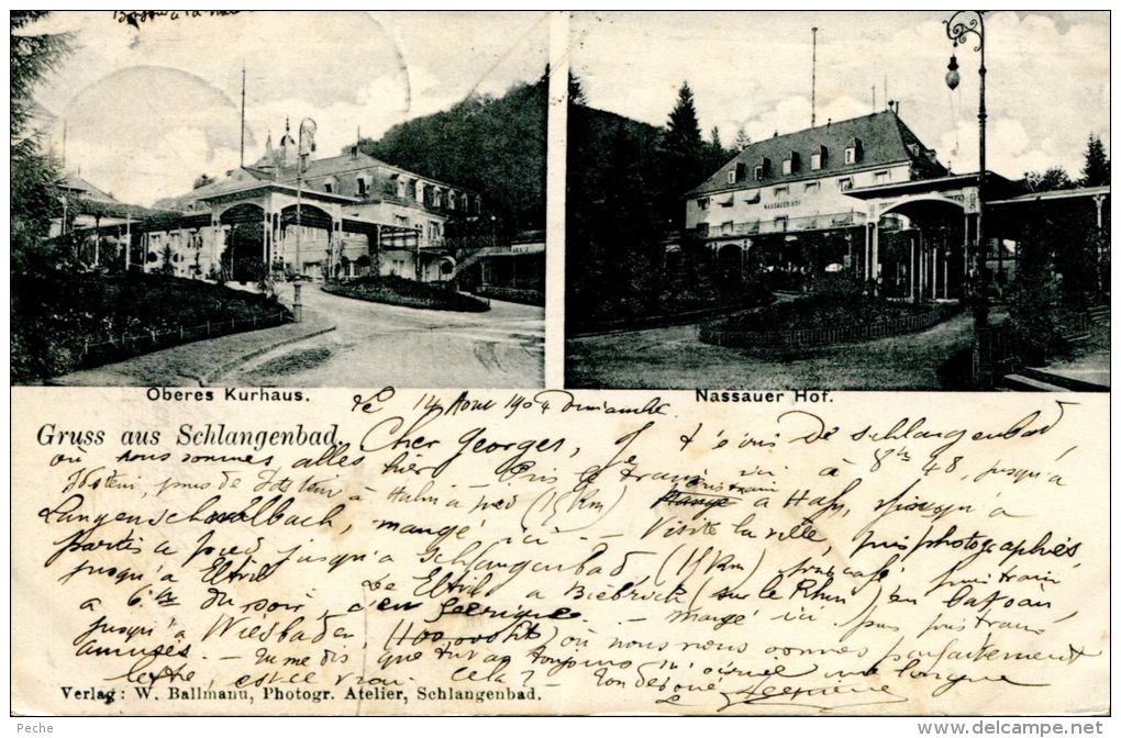 N°3031A -cpa Gruss Aus Schlangenbad - Schlangenbad