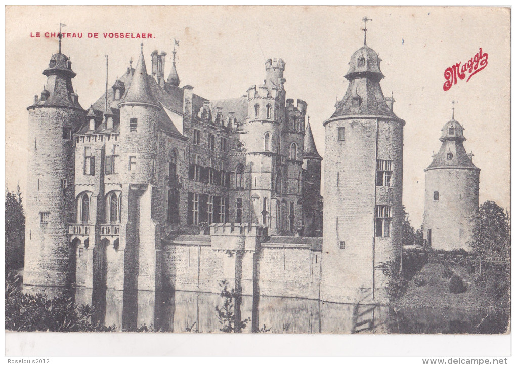 VOSSELAAR / VORSELAAR : Le Château - Vorselaar
