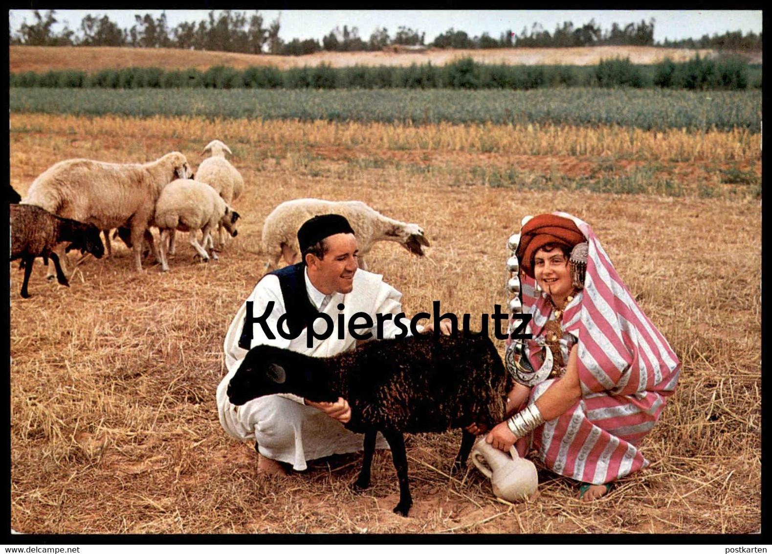 ÄLTERE POSTKARTE LIBYA VEDUTA CAMPESTRE RURAL VIEW VUE CHAMPETRE TRACHT Traditional Costume Folklorique Libye Sheep Cpa - Libia