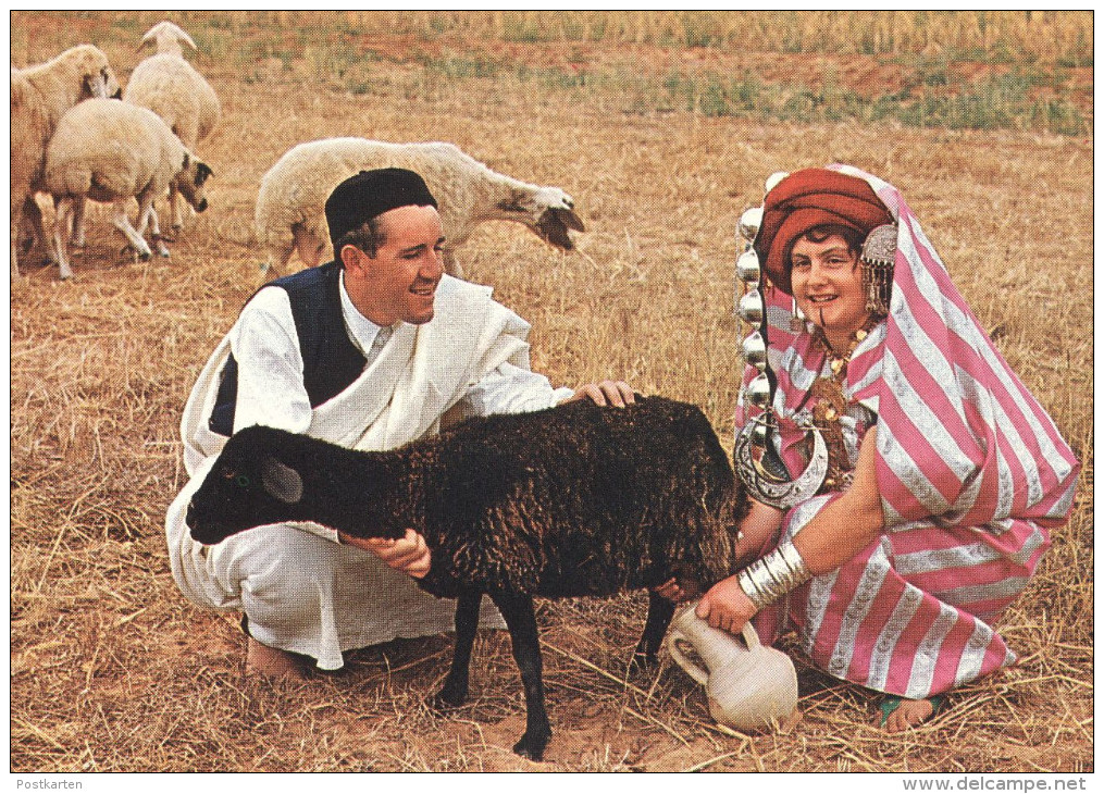 ÄLTERE POSTKARTE LIBYA VEDUTA CAMPESTRE RURAL VIEW VUE CHAMPETRE TRACHT Traditional Costume Folklorique Libye Sheep Cpa - Libia