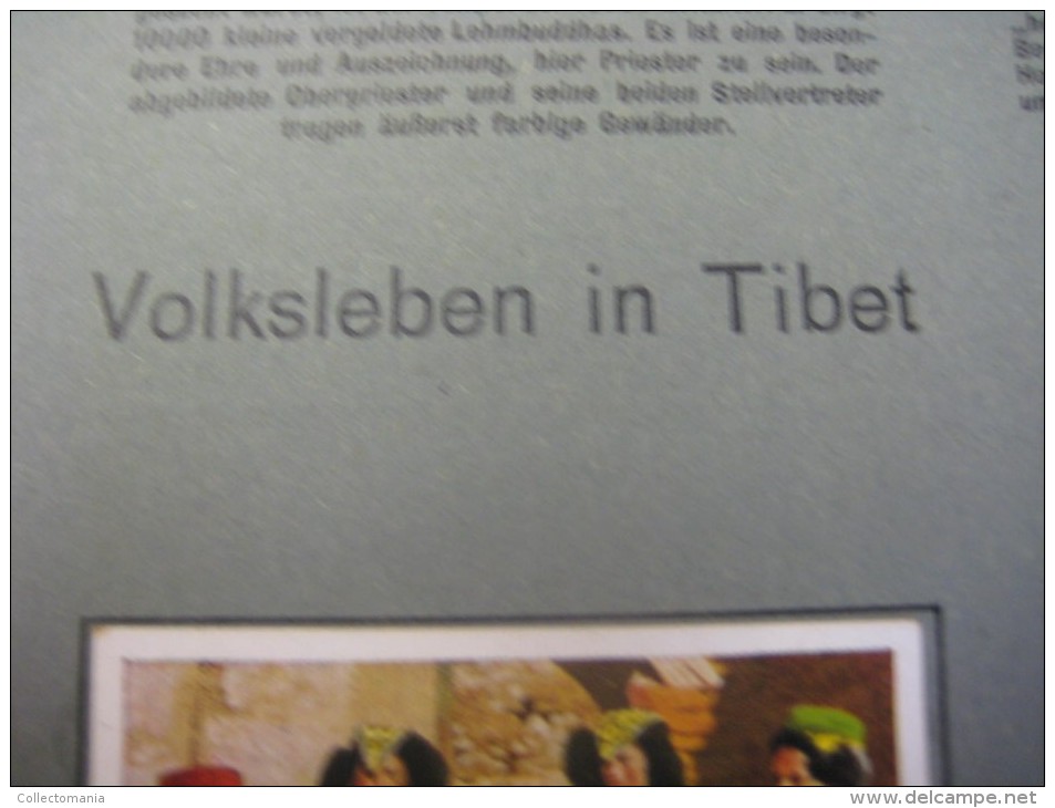 4 postcards & 8 chromos TIBET +gravures, lithos, album pages - Thibétan Ladak Lama Sven Hédin Lhassa Yak VERY GOOD litho