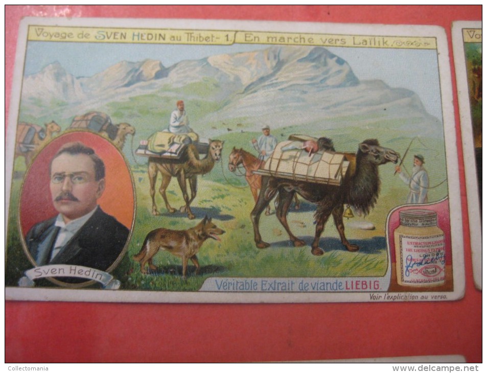 4 postcards & 8 chromos TIBET +gravures, lithos, album pages - Thibétan Ladak Lama Sven Hédin Lhassa Yak VERY GOOD litho