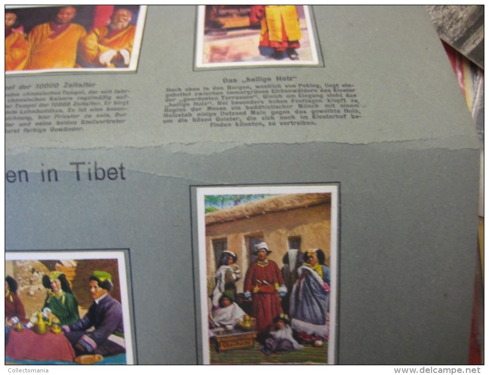 4 postcards & 8 chromos TIBET +gravures, lithos, album pages - Thibétan Ladak Lama Sven Hédin Lhassa Yak VERY GOOD litho