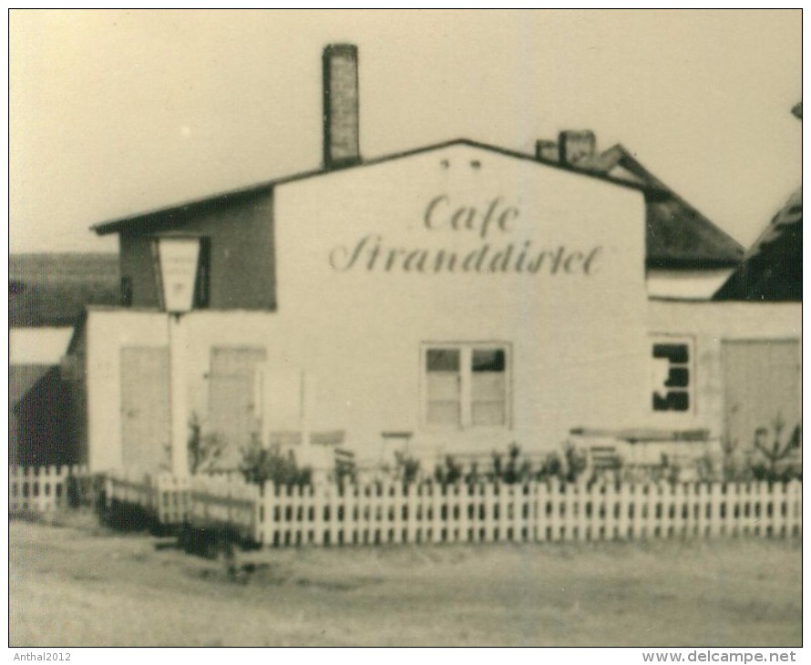 Neuendorf Auf Hiddensee Cafe Stranddistel Sw 1960 - Hiddensee