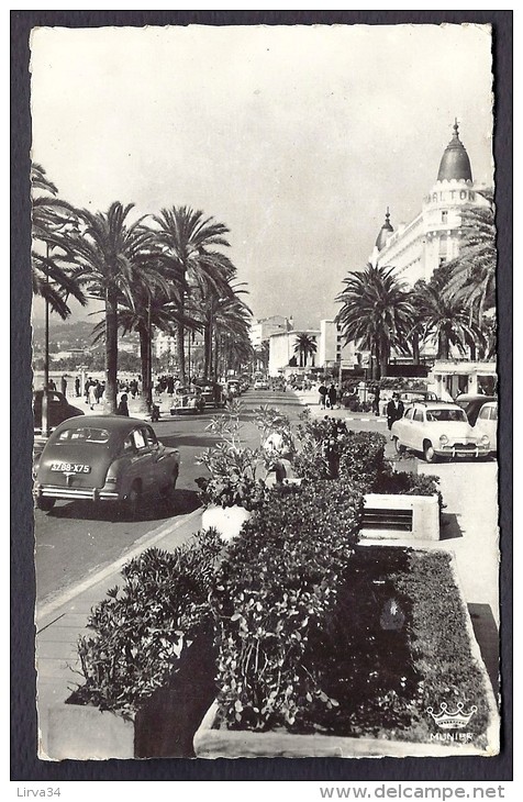 CPSM-PHOTO- FRANCE- CANNES (06)- PROMENADE DE LA CROISETTE AVEC BELLE ANIMATION- VIEILLES AUTOS - Cannes