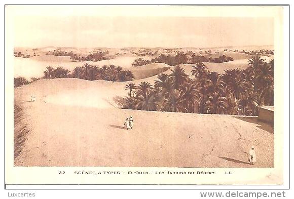 22. EL OUED. LES JARDINS DU DESERT. SCENES ET TYPES. /   LL. - El-Oued