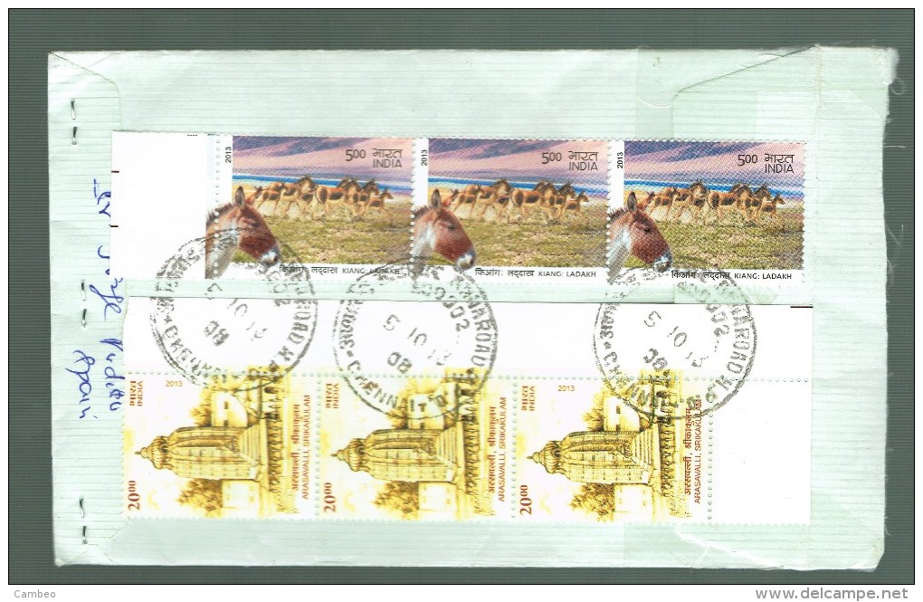 INDIA 2013 REGISTRERED COVER ARASAVALLI SRIKAKULAM   HORSES HORSE  HEMION Equus Hemionus  (see Back) - Lettres & Documents