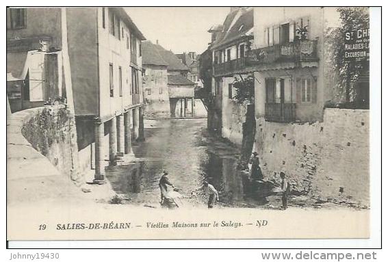 19 - SALIES-DE-BEARN - VIEILLES MAISONS SUR LE SALEYS  ( Animées ) - Salies De Bearn