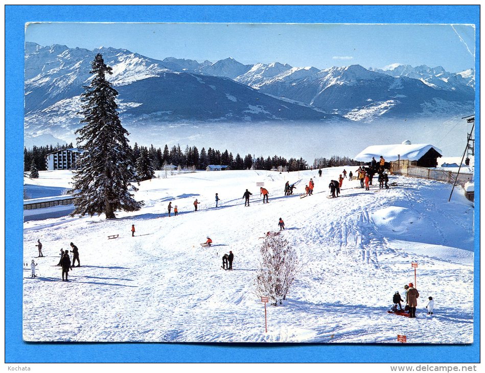 Q380, Crans Sur Sierre, Montana, Plateau Du Golf Et Les Alpes, Animée, 1943 ,GF, Circulée 1974 - Crans-Montana