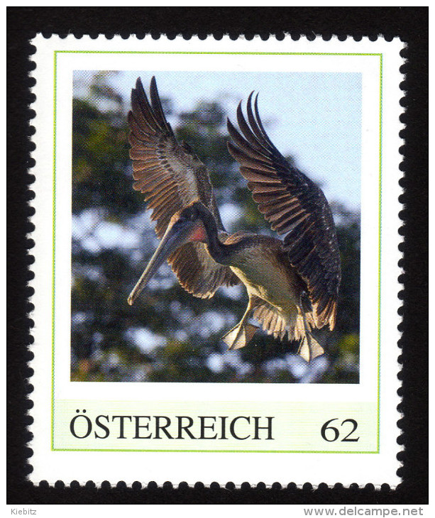 ÖSTERREICH 2013 ** Braunpelikan, Pelecanus Occidentalis - PM Personalized Stamp MNH - Pélicans