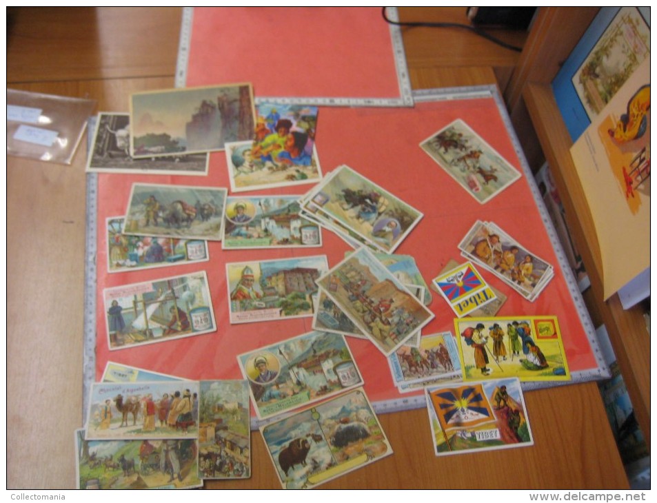 1 postcard YAK + 40 chromo lithos TIBET explorer etnic - Thibétan Dahlia Lama Sven Hédin Lhassa Yak VERY GOOD