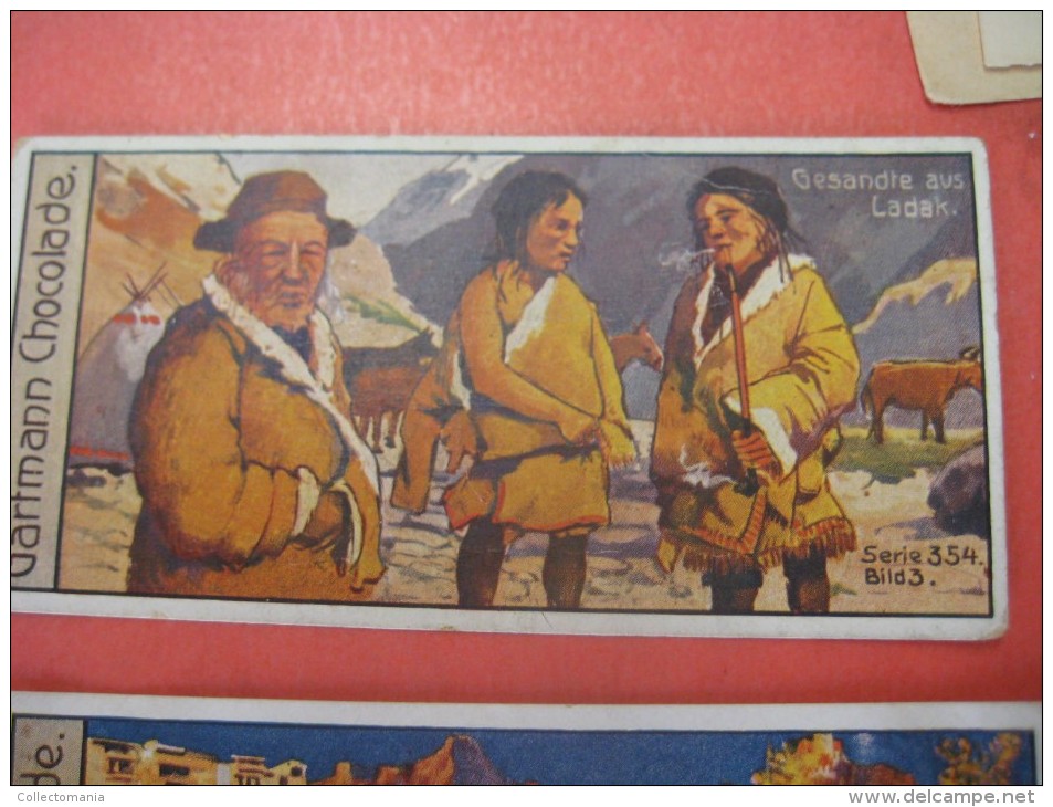 1 postcard YAK + 40 chromo lithos TIBET explorer etnic - Thibétan Dahlia Lama Sven Hédin Lhassa Yak VERY GOOD