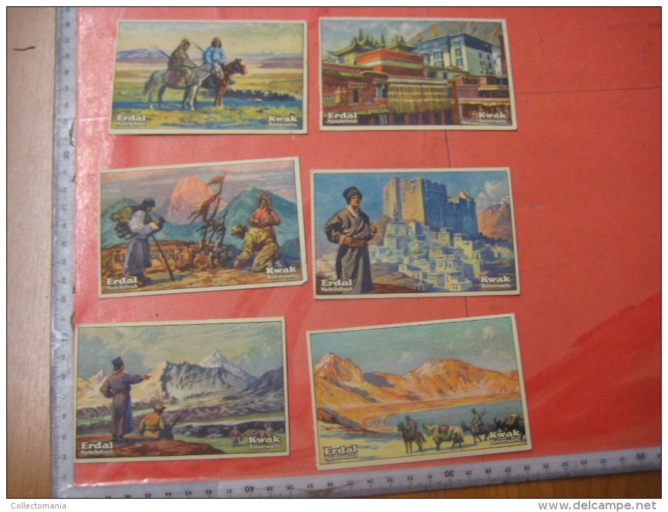 1 postcard YAK + 40 chromo lithos TIBET explorer etnic - Thibétan Dahlia Lama Sven Hédin Lhassa Yak VERY GOOD