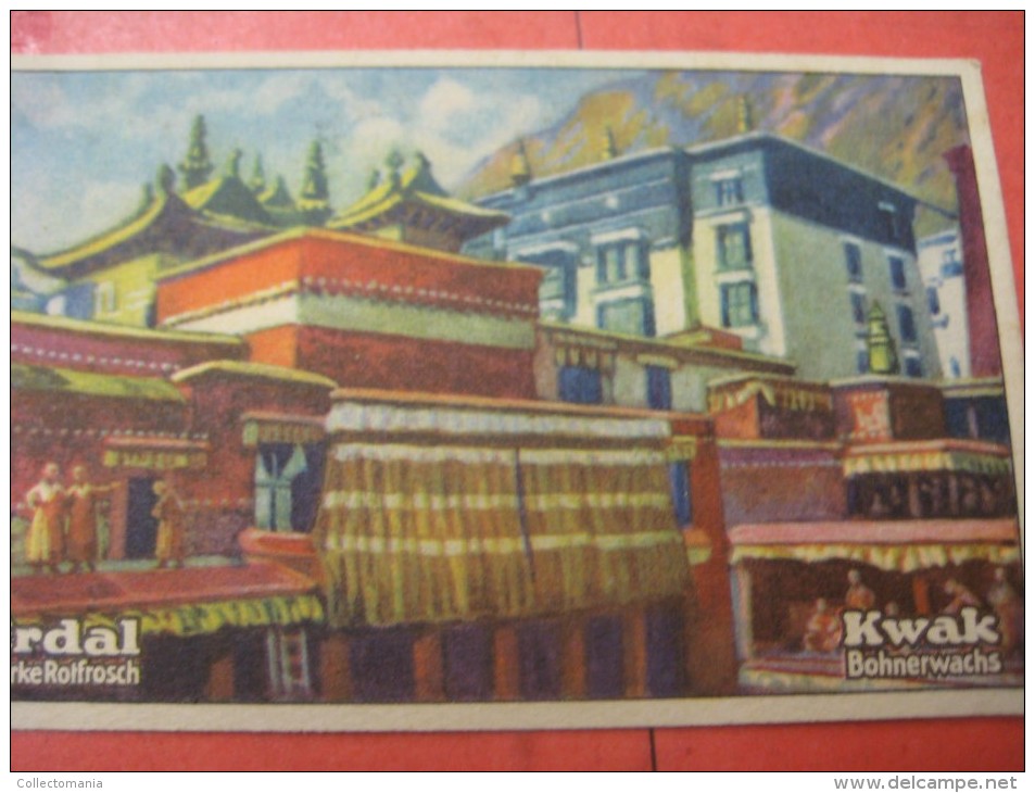 1 postcard YAK + 40 chromo lithos TIBET explorer etnic - Thibétan Dahlia Lama Sven Hédin Lhassa Yak VERY GOOD