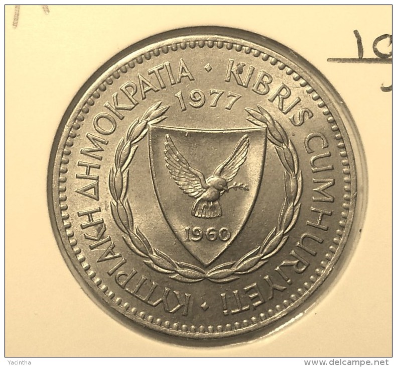 @Y@    Cyprus   100 Mills    1977    Unc  (2846) - Chypre