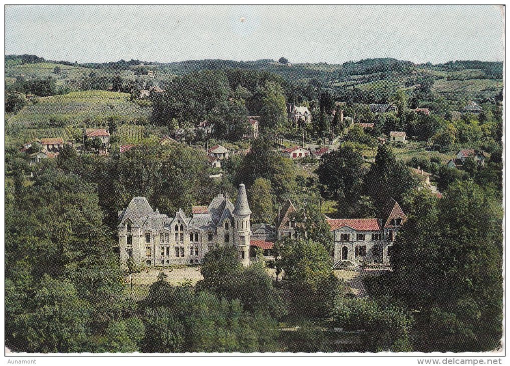 Francia--Salies De Bearn--Le Chateau - Castles