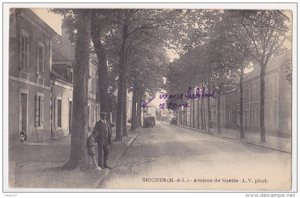 Avenue De Suette - Seiches Sur Le Loir