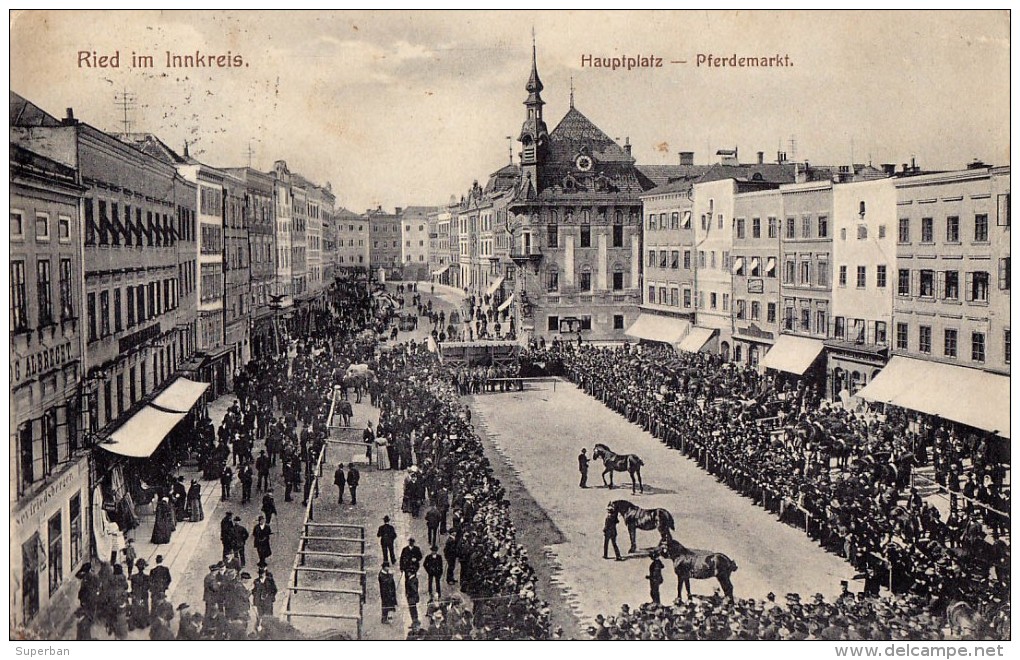 RIED IM INNKREIS : HAUPTPLATZ - PFERDEMARKT / CHEVAL : MARCHÉ Aux CHEVAUX / HORSE MARKET ~ 1910 - '15 (r-671) - Ried Im Innkreis