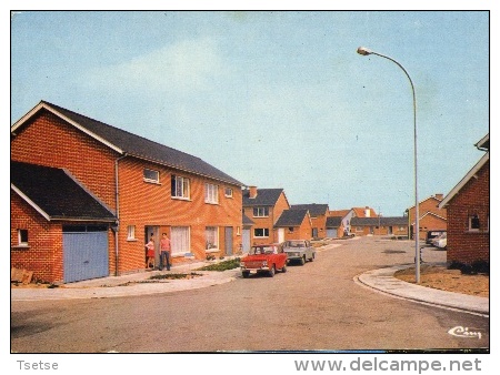 Momignies - La Cité Verte... Maisons De La Cité, Après Leur Construction - Oldtimer : Daf , Volvo - Momignies