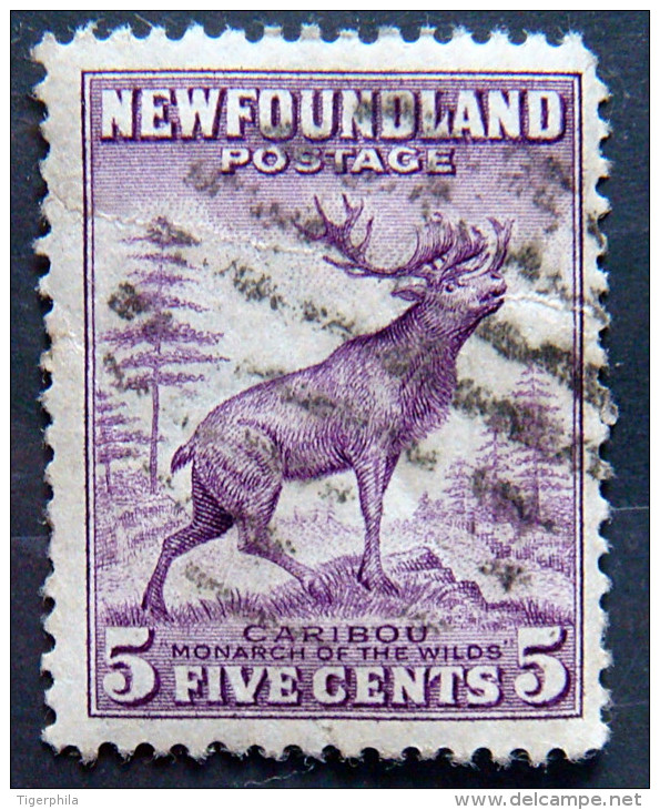 NEWFOUNDLAND 1932 5c Caribou Used - 1908-1947