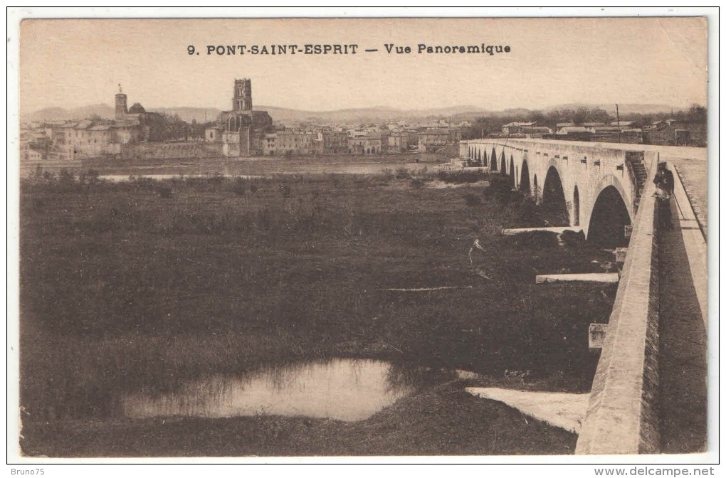 30 - PONT-SAINT-ESPRIT - Vue Panoramique - 9 - Pont-Saint-Esprit