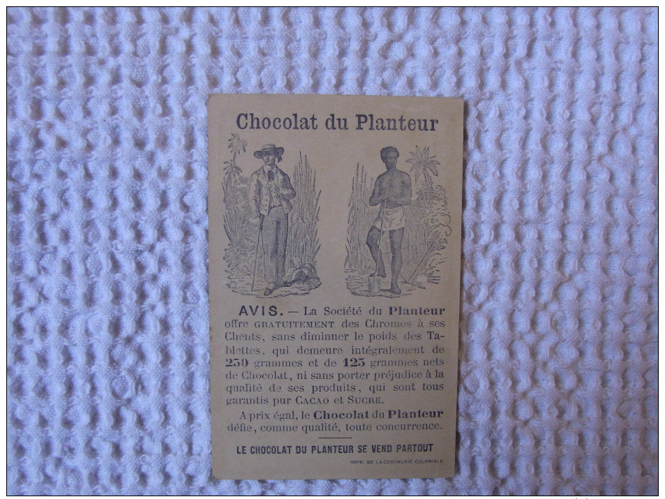 Chromo Chocolat Du Planteur Aux Indes - Autres & Non Classés