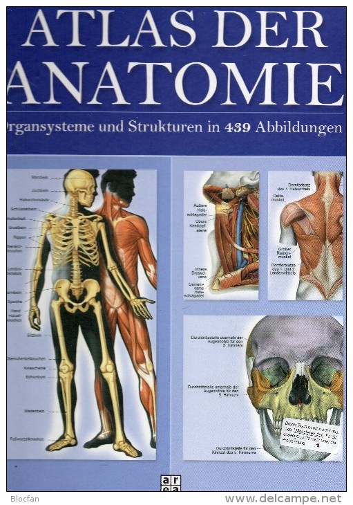 Atlas Der Anatomie 2006 Antiquarisch 32€ Organ-Systeme Und Strukturen Mit 439 Abbildungen/Fotos Medica Lexika Of Germany - Salute & Medicina