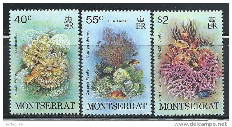 Montserrat     "Marine Life"      Set    SC# 432-34   MNH** - Montserrat