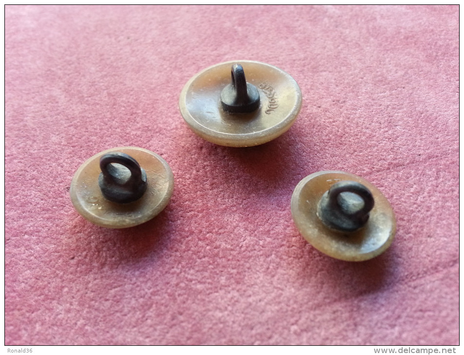 Lot De 3 Boutons : Un Bouton  Habit De Chasse , Chasseur , Garde /  Chien - Boutons