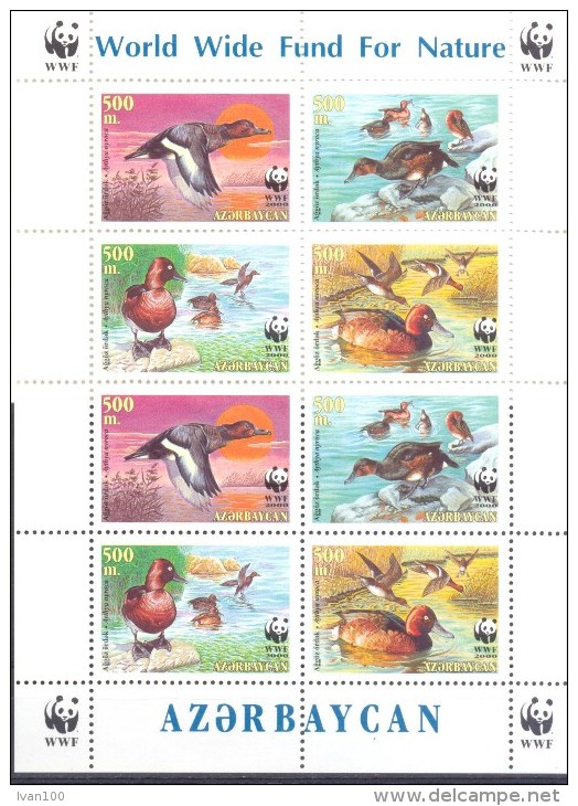 2000. Azerbaijan,  WWF, Ducks, Sheetlet, Mint/** - Azerbaïjan