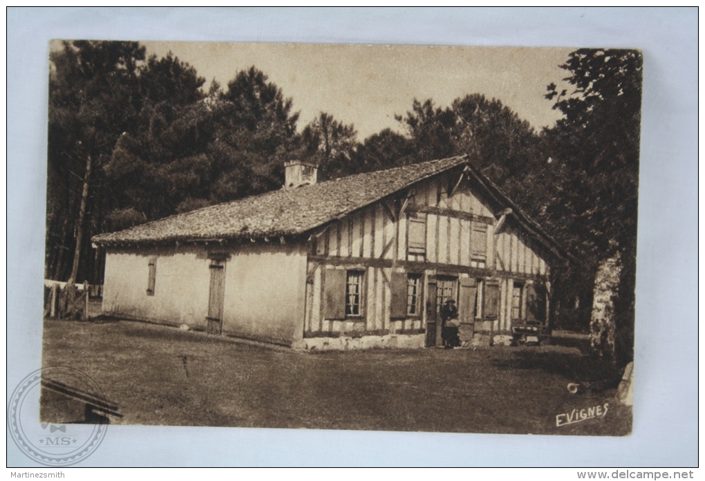 Old France Postcard - Moliets (Landes) Une Vieille Maison Landaise - Unposted - Otros & Sin Clasificación