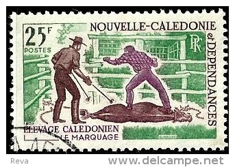 NEW CALEDONIA 25 FRANCS ELEVAGE CALEDONIEN LE MARQUAGE MAN ANIMAL SET OF 1 USEDNH 1980's(?) SG468 READ DESCRIPTION !! - Gebraucht