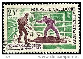 NEW CALEDONIA 25 FRANCS ELEVAGE CALEDONIEN LE MARQUAGE MAN ANIMAL SET OF 1 USEDNH 1980's(?) SG468 READ DESCRIPTION !! - Oblitérés