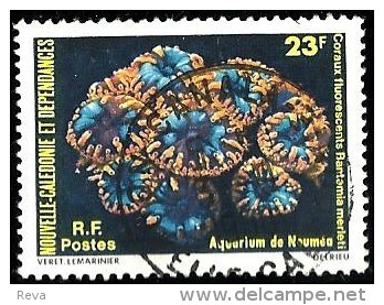 NEW CALEDONIA 23 FRANCS AQUARIUM DE NOUMEA CORAUX FLUORESCENTS RANTAMIASET OF 1 USEDNH 1970's(?)SG616 READ DESCRIPTION!! - Gebraucht