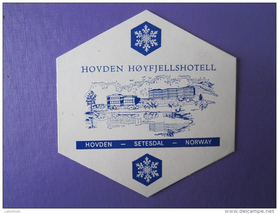 HOTEL HOTELLI HOTELL HOTELLET PENSION HOYFJELL HOVDEN SETES NORVEGE NORWAY NORGE DECAL LUGGAGE LABEL ETIQUETTE AUFKLEBER - Adesivi Di Alberghi