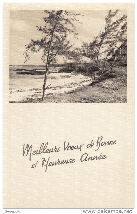 ILE MAURICE - BELLE MARE -  Meilleurs Voeux De Bonne Et Heureuse Année 1965 - Mauritius