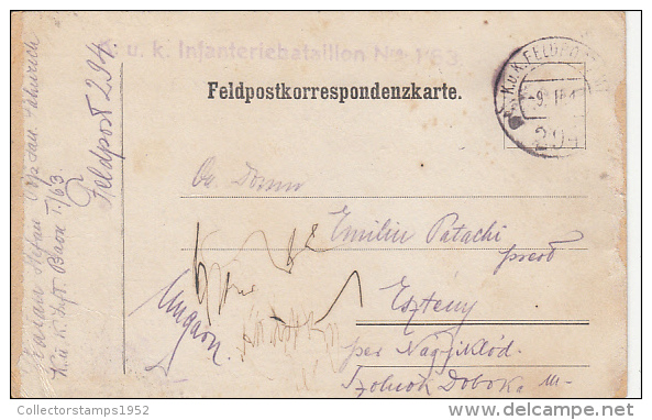 13044- WAR FIELD POSTCARD, CAMP NR 294, CENSORED INFANTERY BATALLION 1/63, 1917, HUNGARY - Storia Postale
