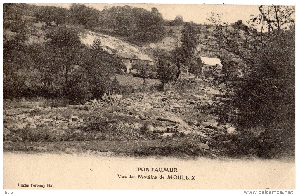 PONTAUMUR ET SES ENVIRONS VUE DU MOULINS DE MOULEIX - Autres & Non Classés