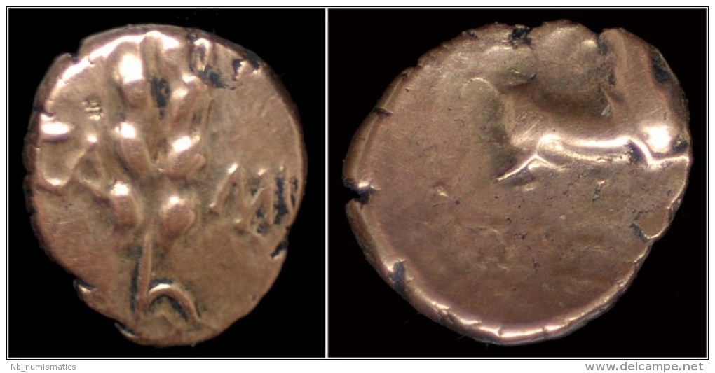 Celtic Catuvellauni King Cunobelin AV Quarter Stater "Wild Type" - Gauloises