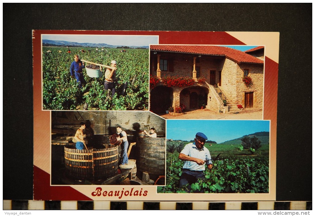 Bonne Route En Beaujolais  Diverses Vues - Wijnbouw