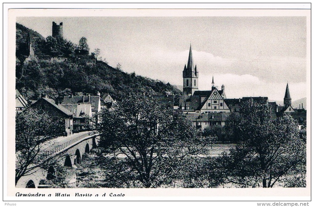 D5018    GEMÜNDEN Am MAIN : Partie A.d. Saale - Gemuenden