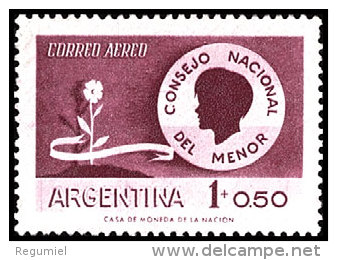 Argentina Aereo 051 ** Foto Estandar. 1958 - Posta Aerea