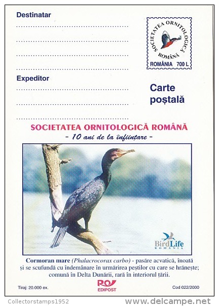 13189- GREAT BLACK CORMORANT, POSTCARD STATIONERY, 2000, ROMANIA - Marine Web-footed Birds