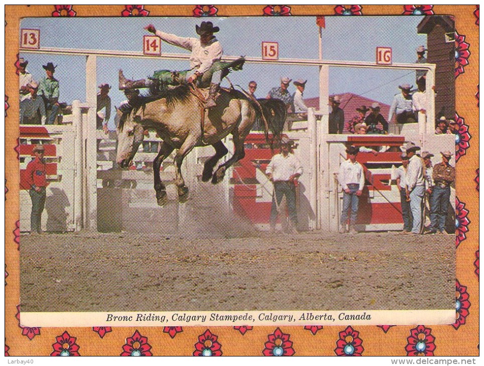 1 Cp Calgary Stampede - Moderne Ansichtskarten