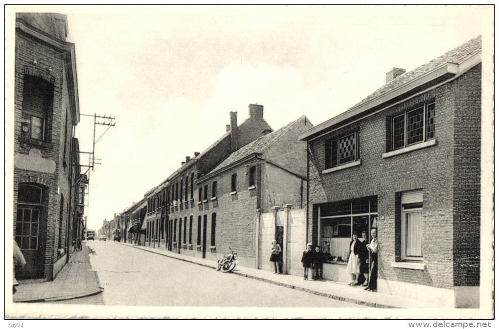 BELGIQUE - ANVERS - BORNEM - Nieuwe Kouterstraat. - Bornem