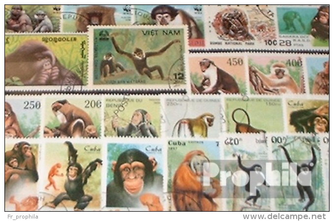 Motives 50 Différents Singe-Timbres - Singes