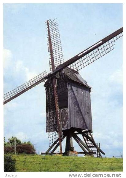 IMPE Bij Lede (O.Vl.) - Molen/moulin - Historische Opname Van De Gewezen Tukmolen In 1964, Gesloopt In 1980. TOP ! - Lede