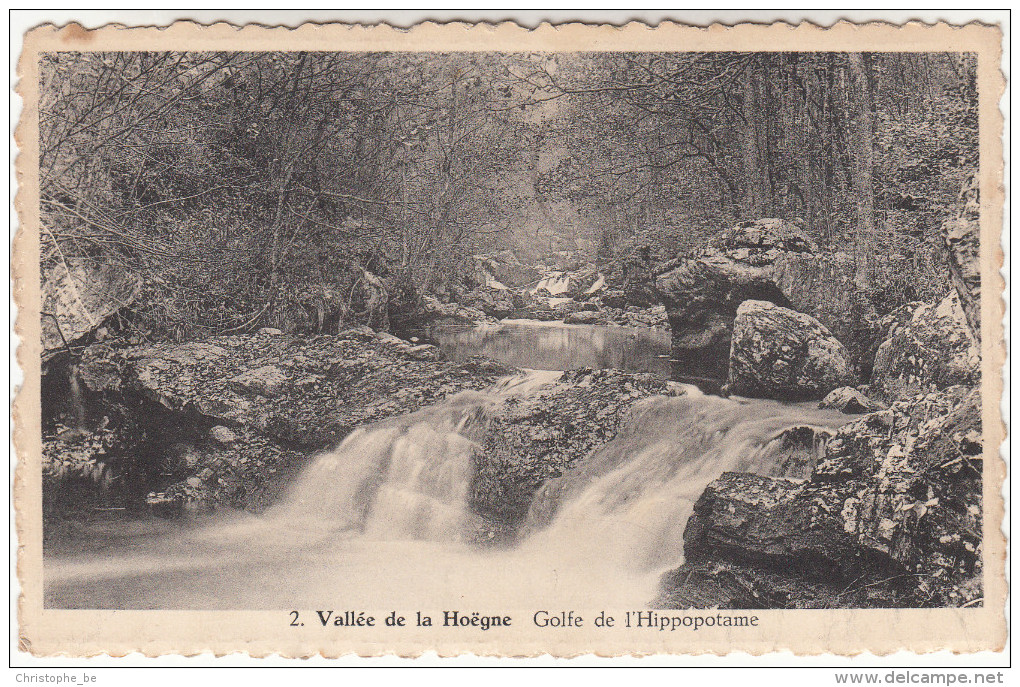 Vallée De La Hoëgne, Golfe De L'Hippopotame (pk16071) - Liege