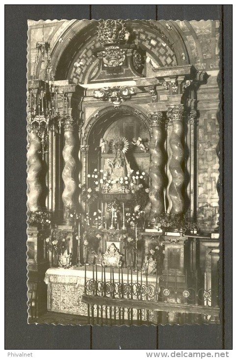 SIGÜENZA - GUADALAJARA, TARJETA POSTAL NO CIRCULADA, CATEDRAL, ALTAR DE NUESTRA SEÑORA LA VIRGEN DE LA MAYOR - Guadalajara